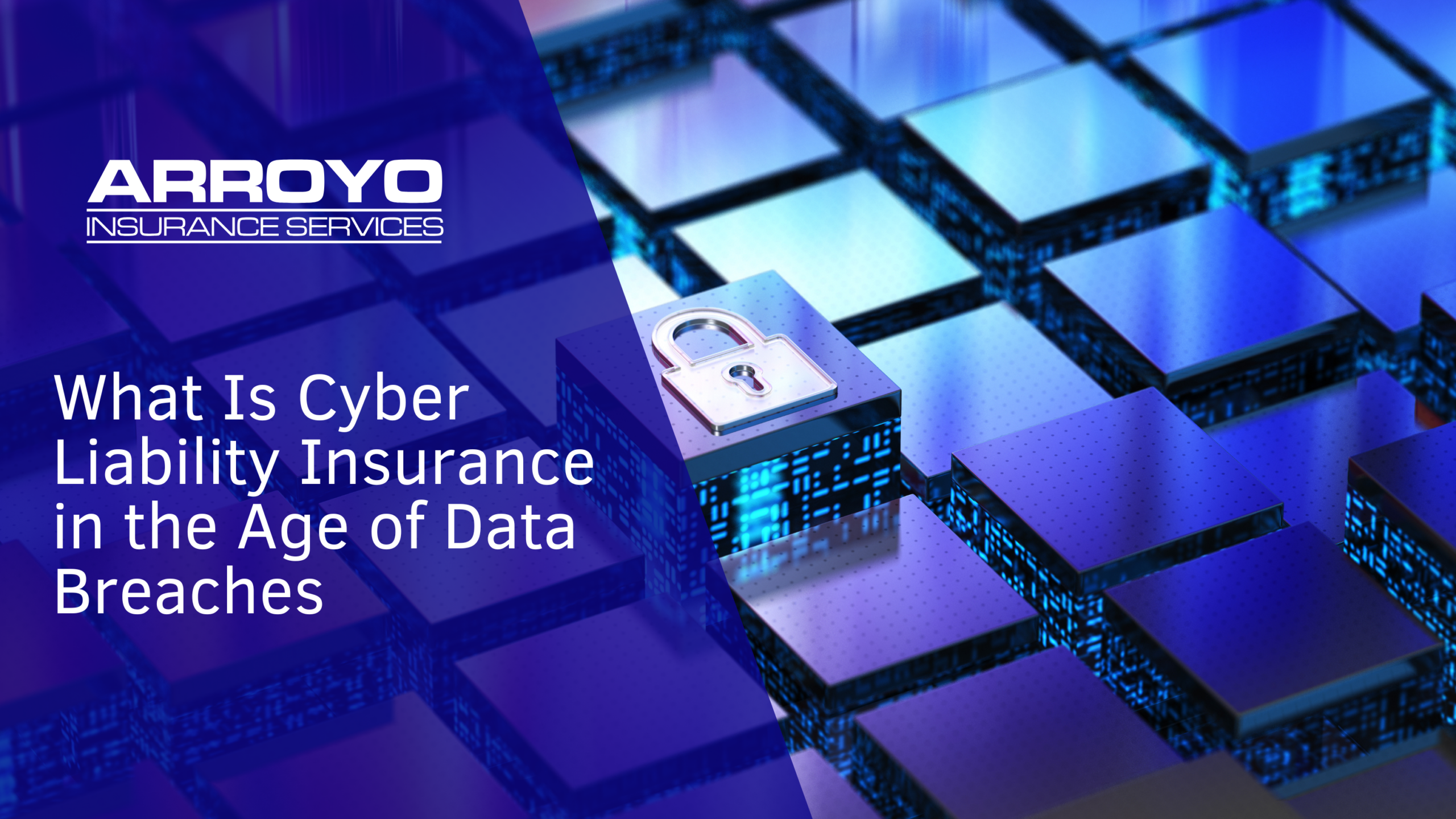 What Is Cyber Liability Insurance in the Age of Data Breaches
